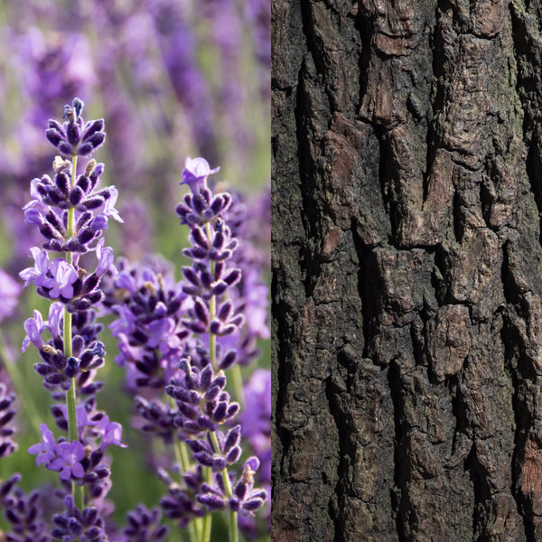 Lavender HoWood Hand Soap