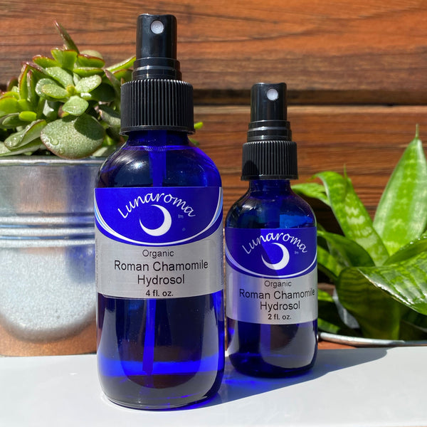 Organic German Chamomile Hydrosol