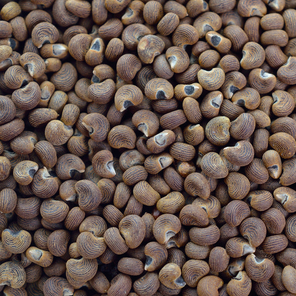Ambrette Seed Absolute (Abelmoschus moschatus) India
