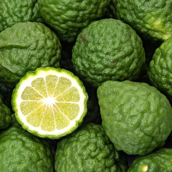 Bergamot Organic (Citrus bergamia) Italy