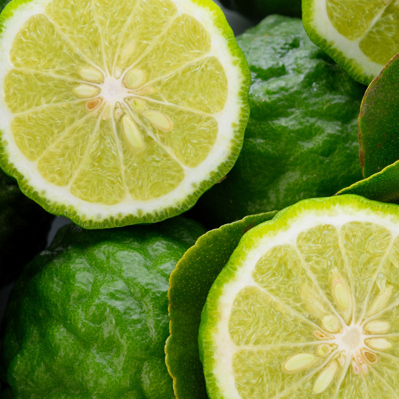 Bergamot (Citrus bergamia) Calabria