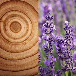 Wholesale Cedarwood Lavender Hand Soap