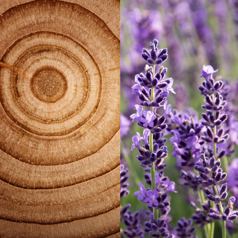 Wholesale Cedarwood Lavender Hand Soap