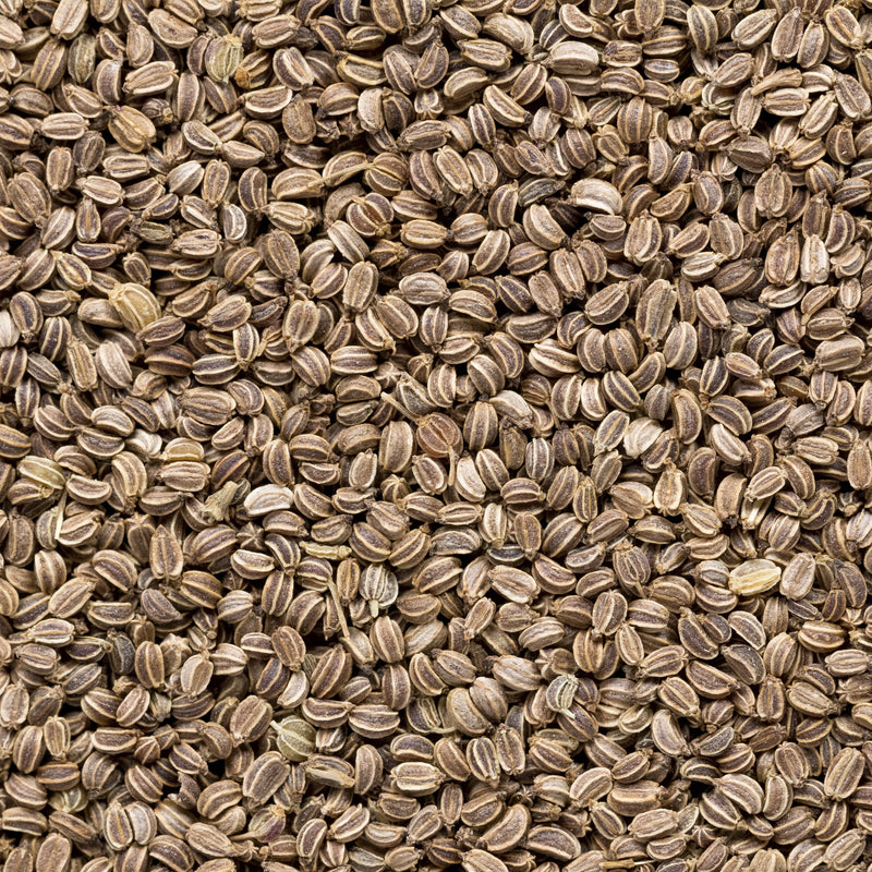 Celery Seed (Apium graveolens) India