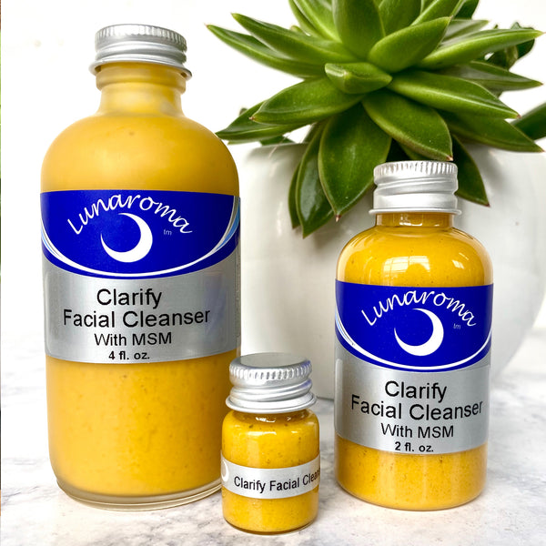 Clarify Facial Cleanser with MSM