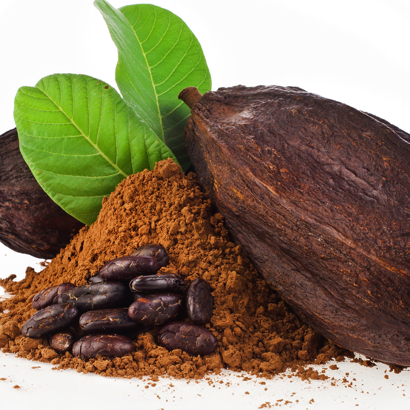 Cocoa Absolute (Theobroma cacao) France