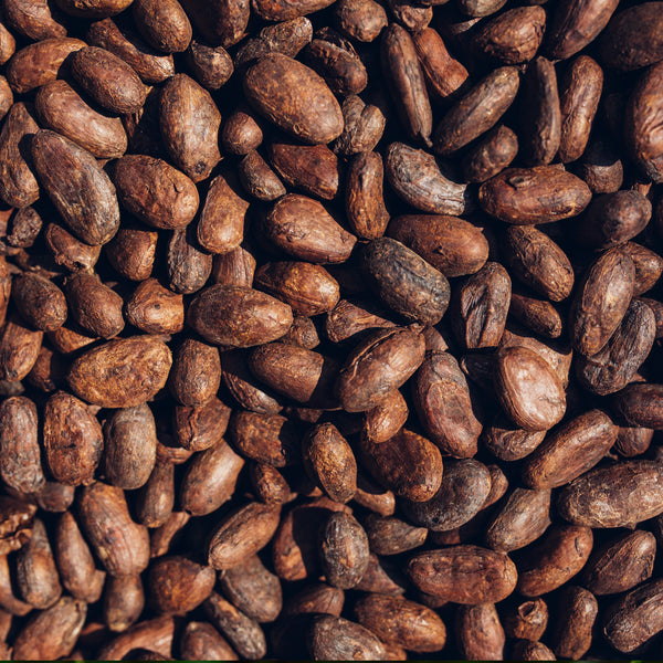 Cocoa Absolute (Theobroma cacao) France