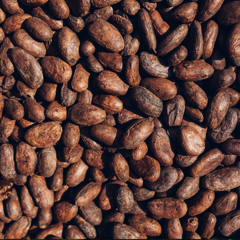 Cocoa Absolute (Theobroma cacao) France