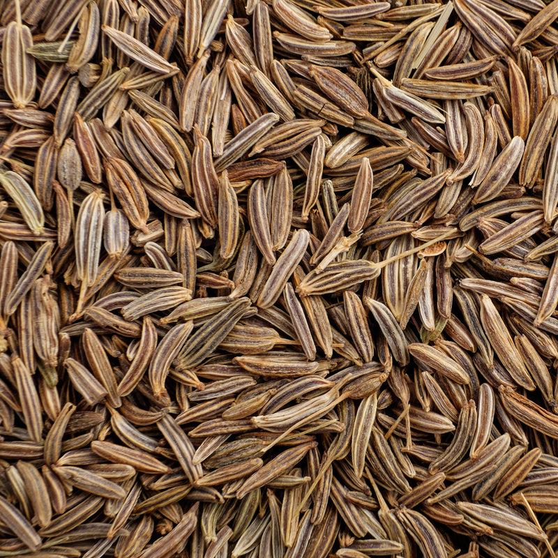 Cumin (Cuminum cyminum) Egypt