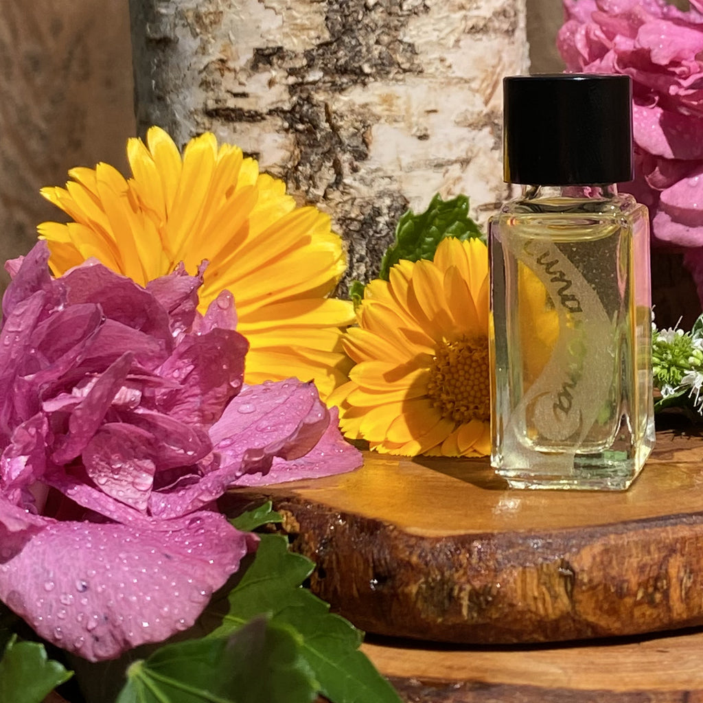 Essential oil perfume brands online