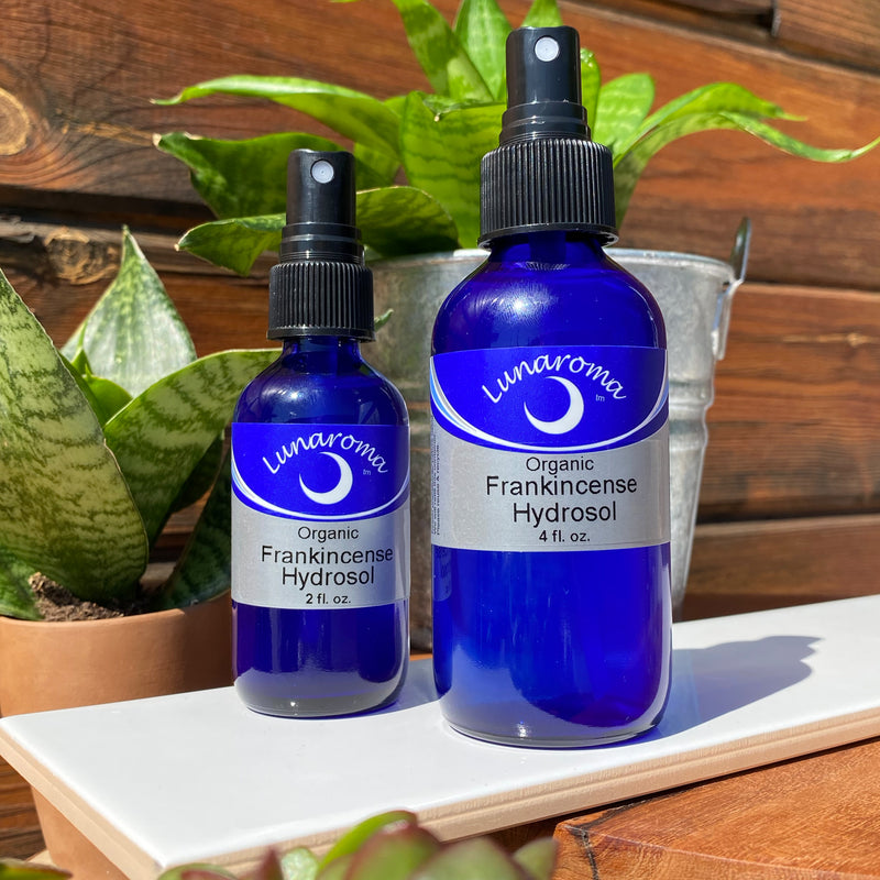 Organic Frankincense Hydrosol