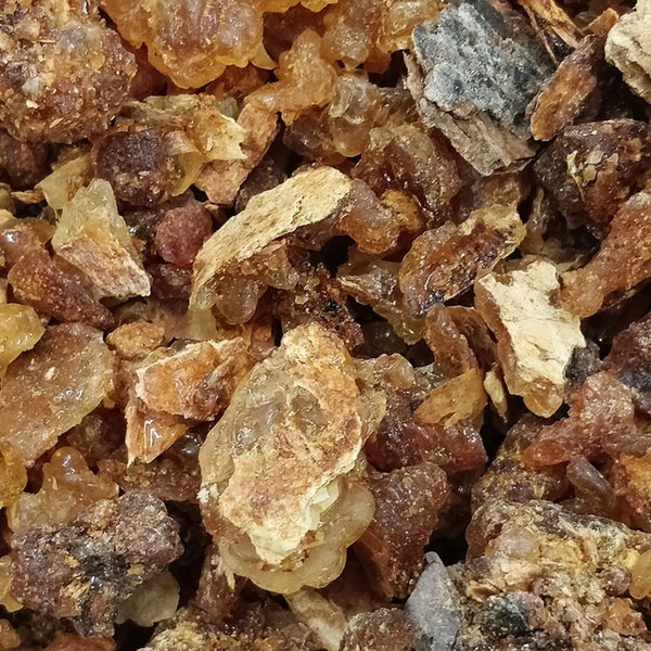 Frankincense Organic (Boswellia carterii) Somaliland