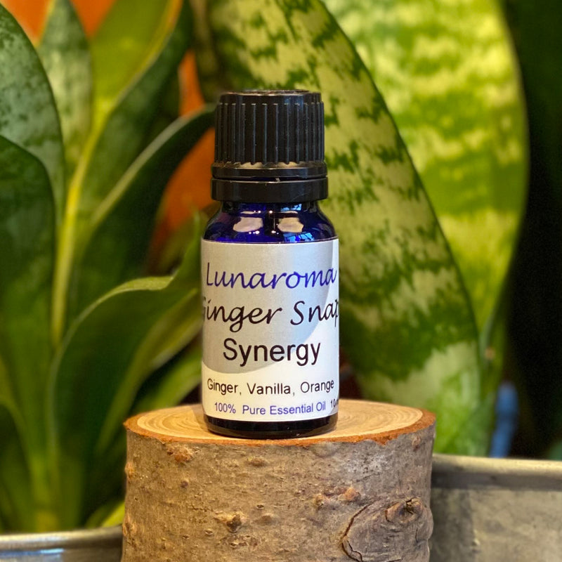 10ml Gingersnap Synergy