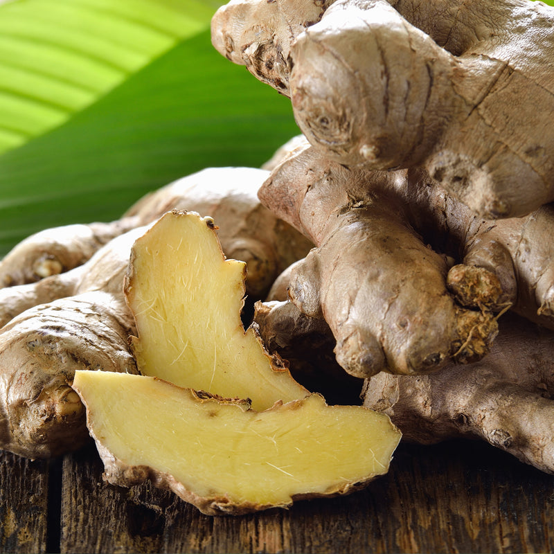 Ginger Fresh Organic  (Zingiber officinale) Madagascar