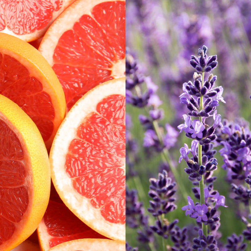 Wholesale Grapefruit Lavender Hand Soap