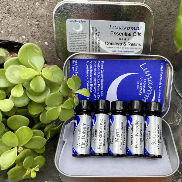 Essential Oils Kit #7 Conifers & Resins