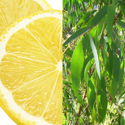 Wholesale Lemon Eucalyptus Hand Soap
