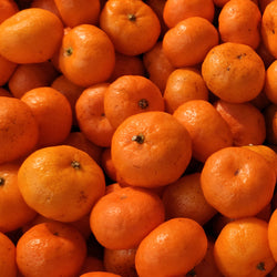 Mandarin, Red Organic (Citrus reticulata rosso) Italy