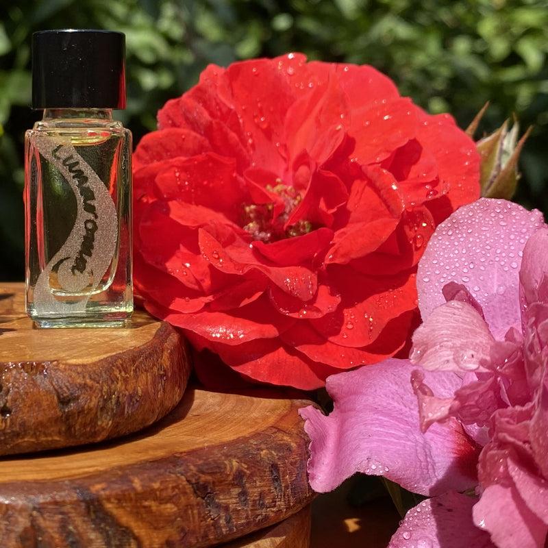 Red Rose Fragrance Oils For Wholesale