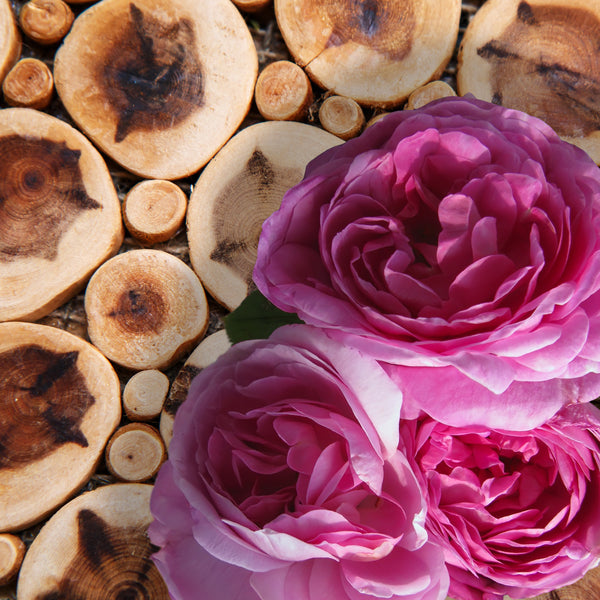 Rose Sandalwood Honey Bath