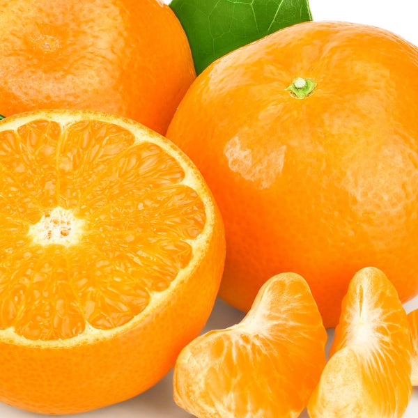 Tangerine, Organic (Citrus reticulata) South Africa