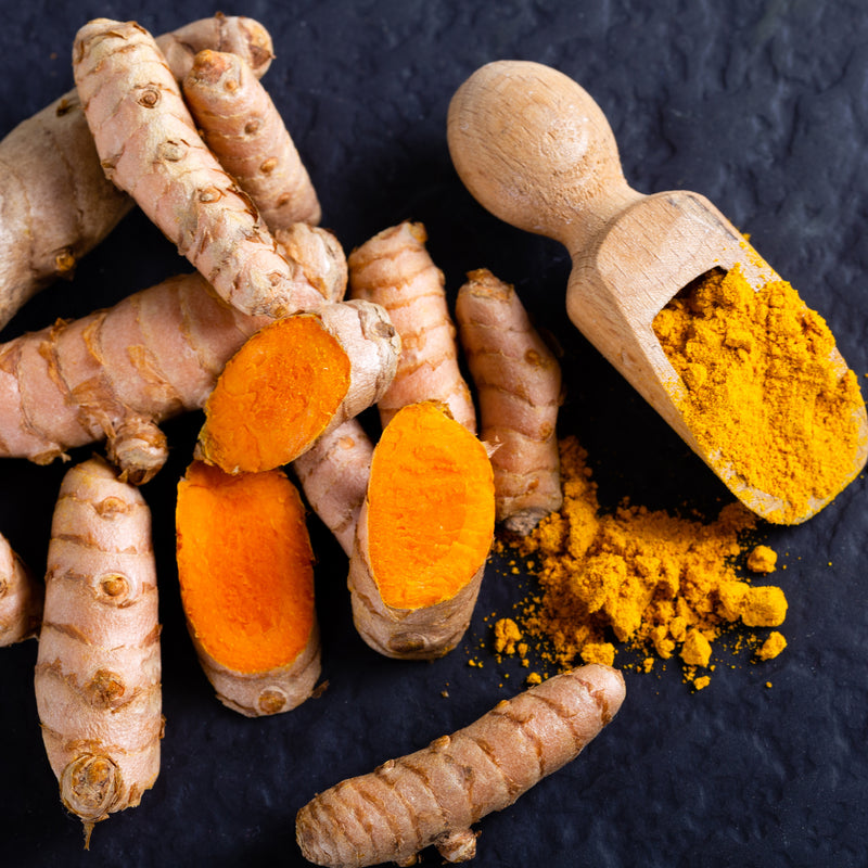 Turmeric Organic (Curcuma longa) India